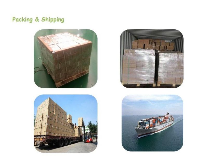 China Supplier New Products Biodegradable PLA Corn Starch Polymer Resin