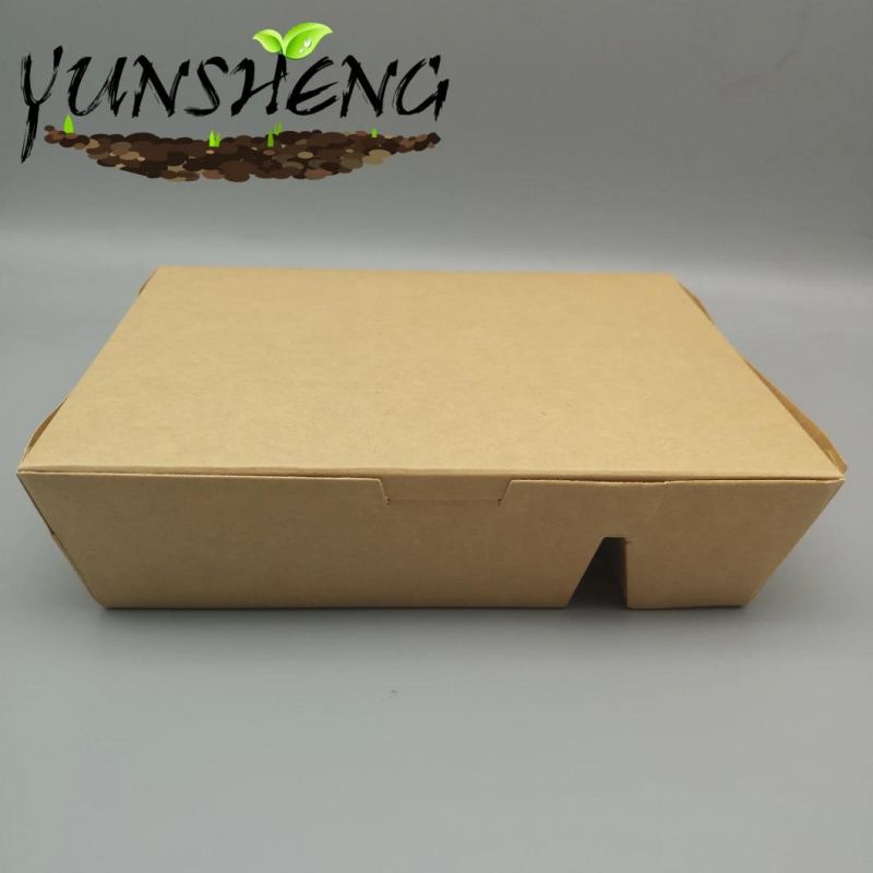 Biodegradable Food Container with Dividers and Lid Wholesale