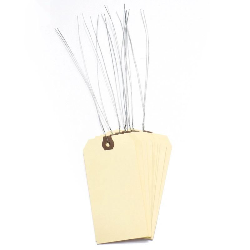 Wholesale Custom Printing Paper Shipping Tags with Wires (PT1206W-1)