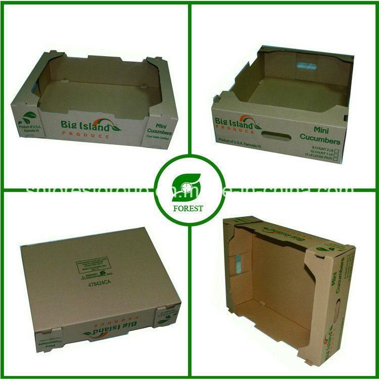 Printed Corrugated Carton Box for Fresh Fruit and Vegetable Packaging (FP020006)