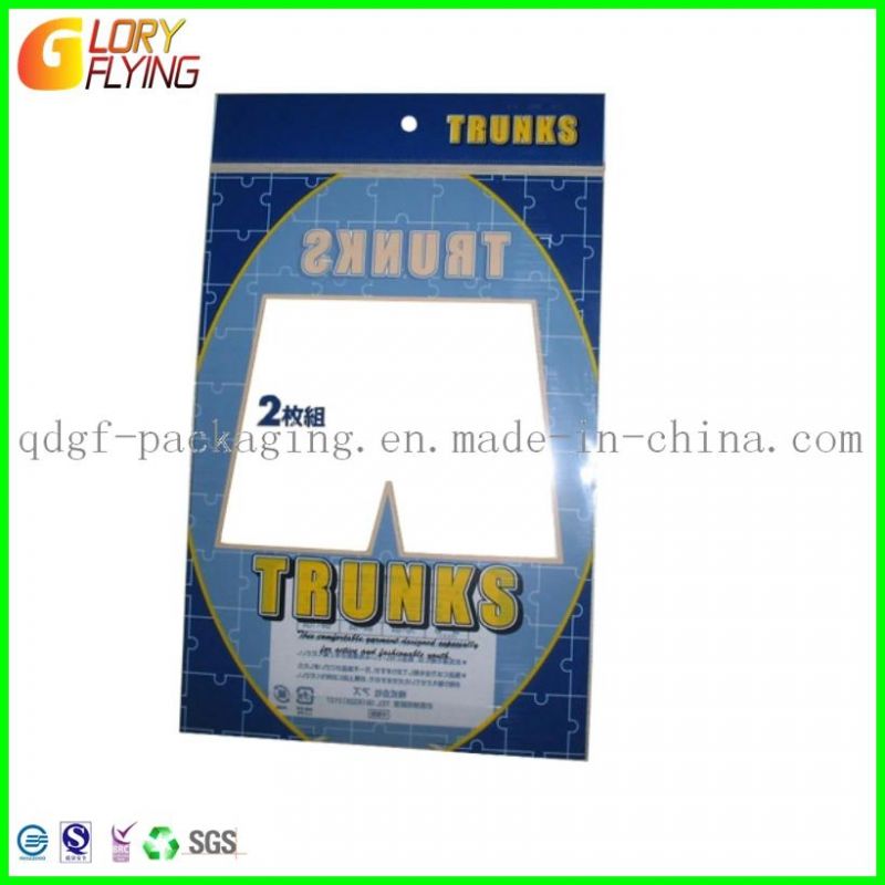 Plastic Packaging Bags for Garment /Zip Lock Bag