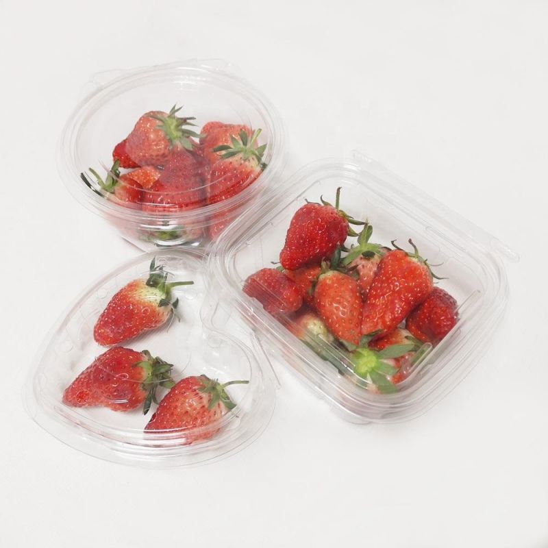 Food Packaging Biodegradable Blister Disposable Supplier Containers Clamshell Fruit Box