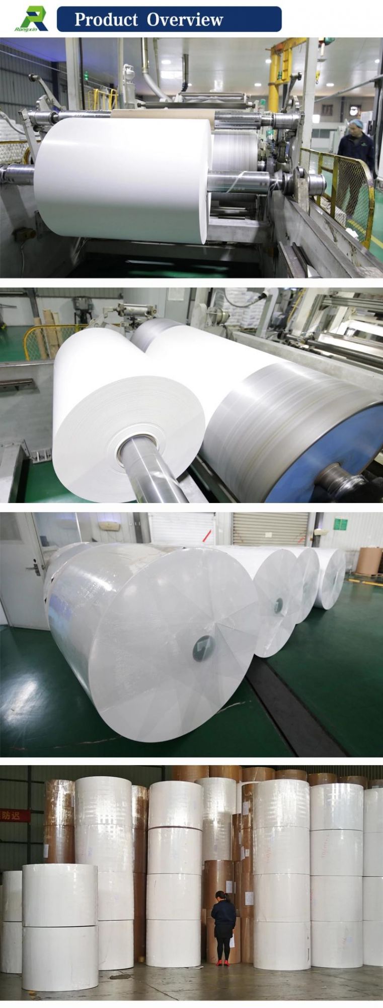 PE Coated Paper for Yogurt Cup