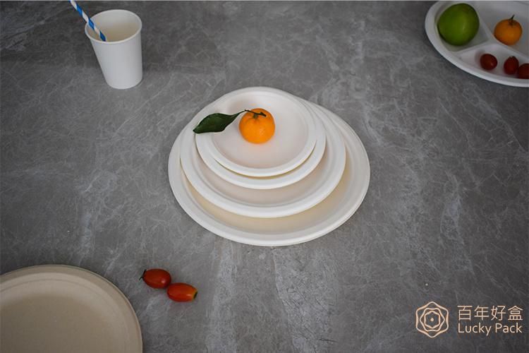 3 Compartment Compostable Biodegradable Tableware Sugarcane Bagasse Paper Round 9 Inch Plate