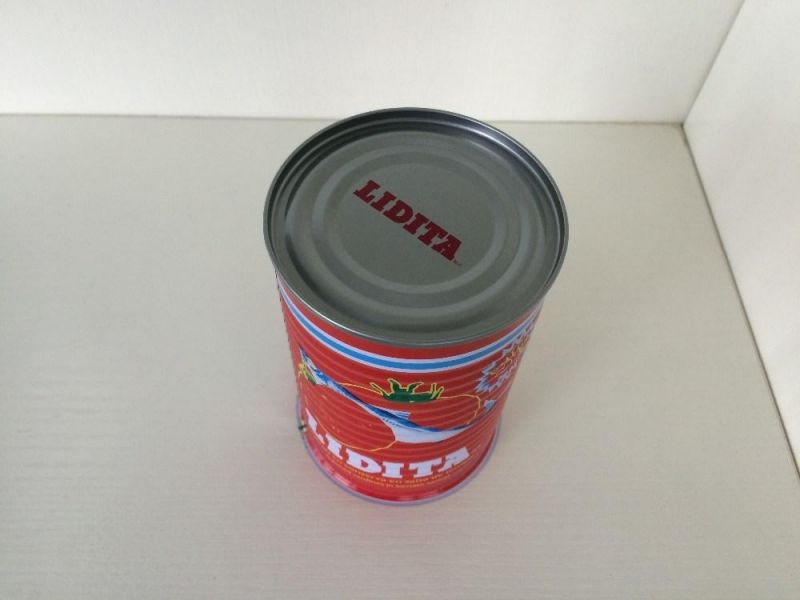 Empty Can for Sardines in Tomato Sauce