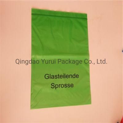 LDPE/PE Jewelry Mini Ziplock Bag Color Customized Mini Ziplock Baggies Resealable Small Plastic Ziplock Bags with Print