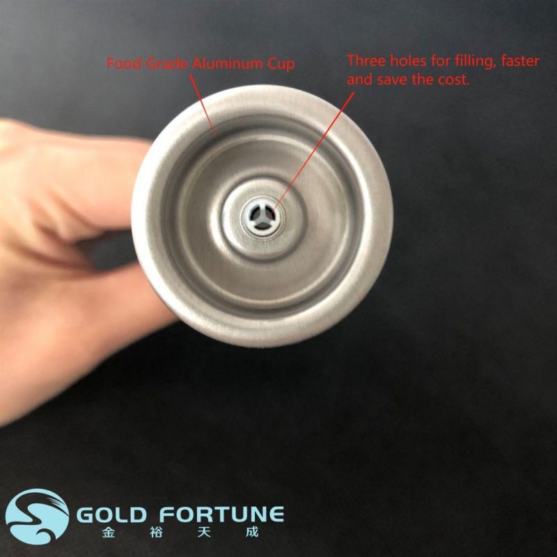 Gold Fortune Aluminum-Plastic Standard Export Carton Packing 1 Inch Aerosol Valve