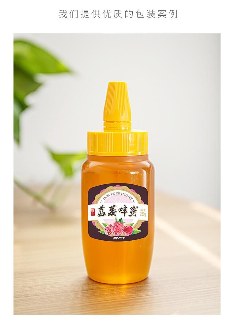 500g 1000g 250g Plastic Honey Syrup Ketchup Jam Hot Fill Beverage Squeeze Bottle