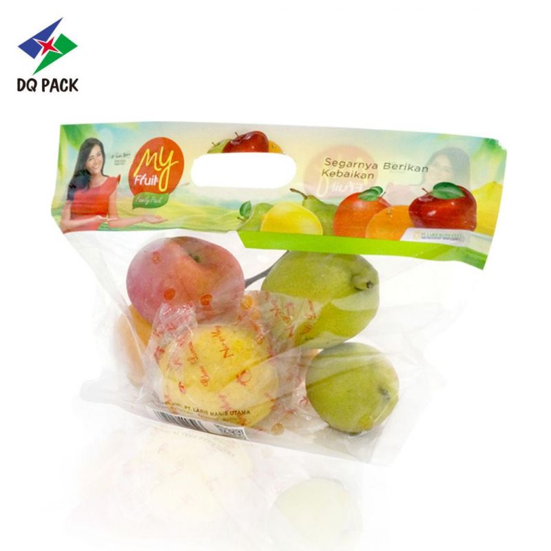 Customized Hot Sale Stand up Fruit Vent Bag with Zipper and Euro Hole