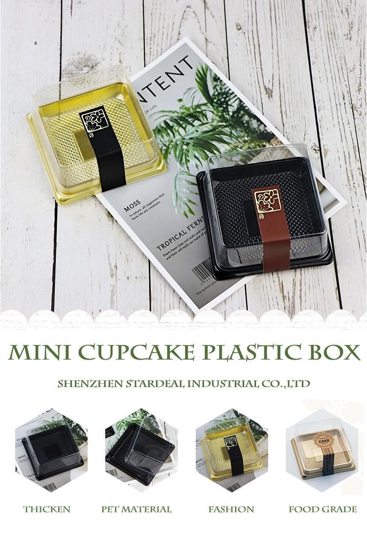 Clear Plastic Pastry Cake Packaging Golden Square Dessert Box
