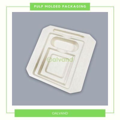 Customized Plastic Free Sugarcane Bagasse Pulp Molded Lamp Tray