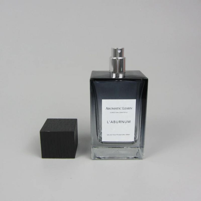 Custom Heavy Empty Square Perfume Glass Bottle