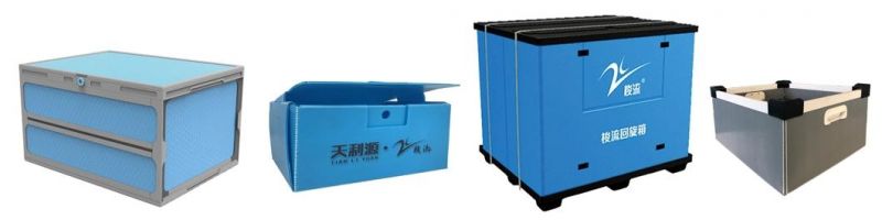 Fresh Fruits Vegetables PP Corrugated Plastic Box