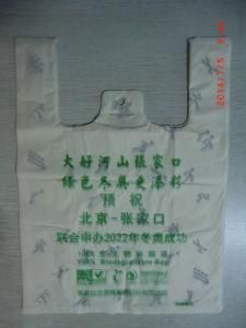 Polylactic Acid Bag