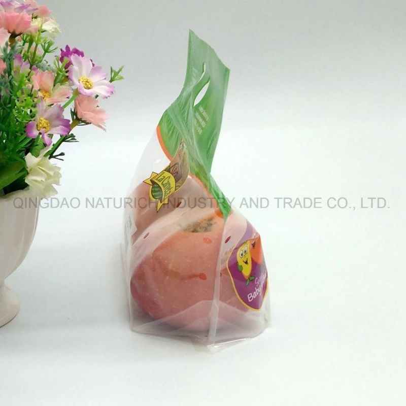 Shaped / Customized Plastic Bag Punch Fruit Bag with Handle/ Custom Design Stand up Reseal Supermarket Fruit Packaging Bag with Breath Hole