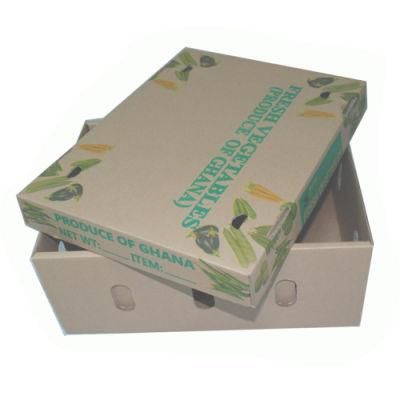 Better Price Good Quality Custom Corrugated Fruit Mango Packing Box