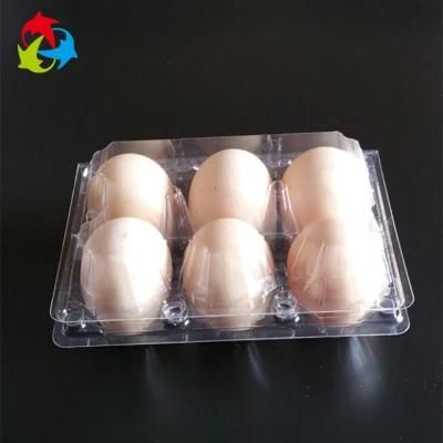 Disposable 6 Holes Plastic Chicken Egg Packaging