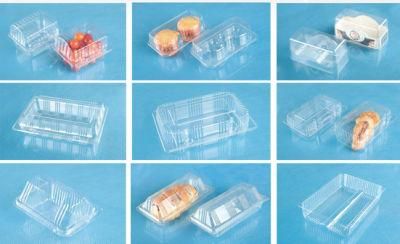 Food Packing Blister Plastic Chocolate Package Biscuit Container (PP Tray)