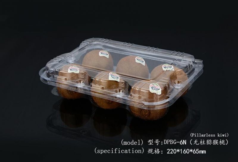 Supermarket Biodegradable Serving Tray Fruits Vegetable Storage with Dividers Cover Package Trays