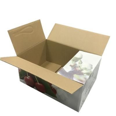 White Vegetable and Fruit Cardboard Box