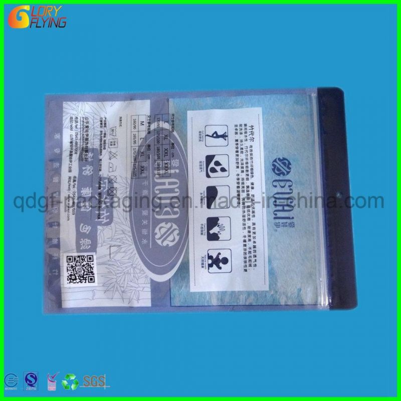 Plastic Packing Bags for Garment Packaging/Promotional Bag Zip Lock Bag