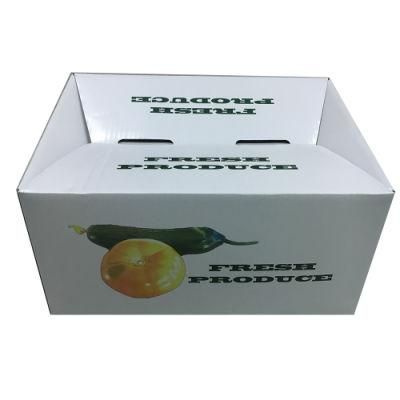 4 Color Printing Fruit Packing Box for Shipping
