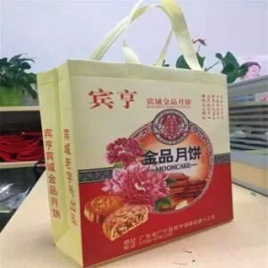 Many Design of Handbag/Shopping Bag/Packaging Bag