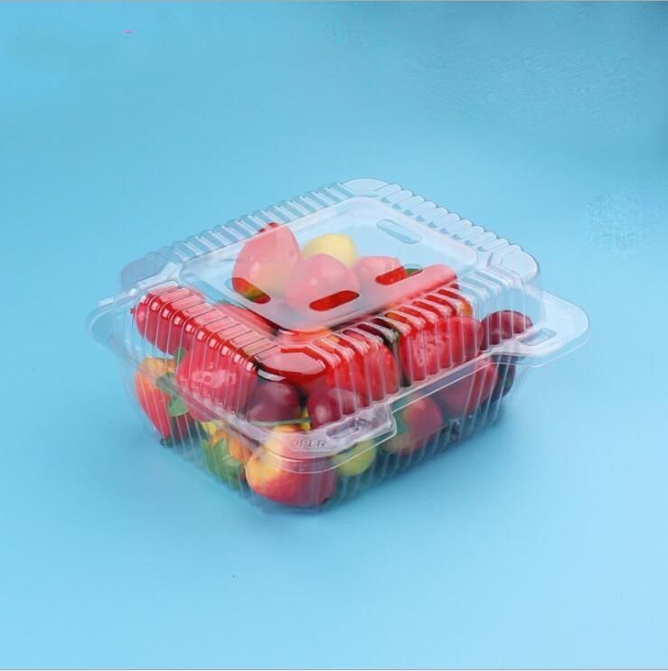 Clear universal  PET Fruit and  Food Container with EU regulation