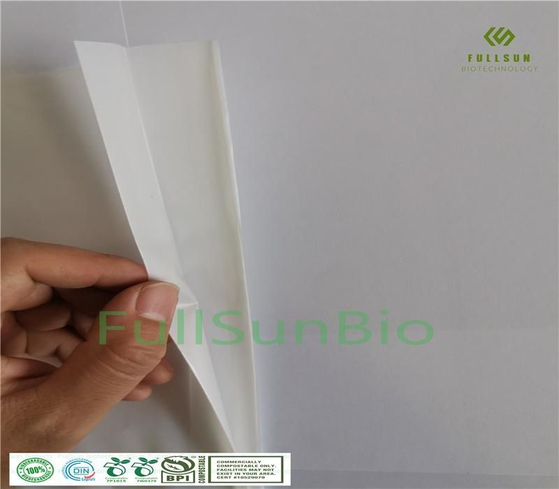 100% Completely Biodegradable Food Bag Freezer Bag Sealed Composite Plastic Bag