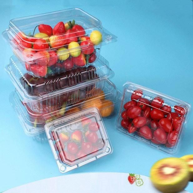 Clear universal  PET Fruit and  Food Container with EU regulation