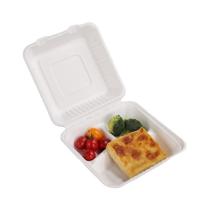 One Time Biodegradable Food Container Paper Lunch Box Burger Compostable Takeaway Sugarcane Disposable Food Packaging