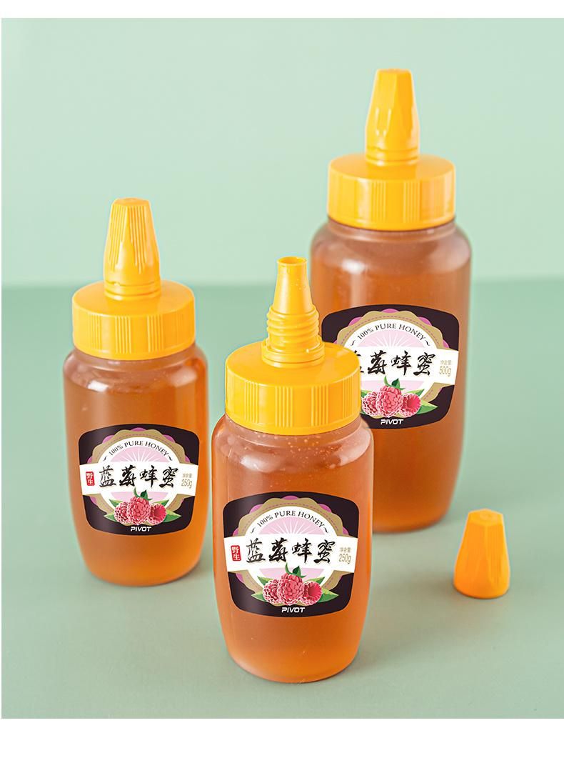 500g 1000g 250g Plastic Honey Syrup Ketchup Jam Hot Fill Beverage Squeeze Bottle