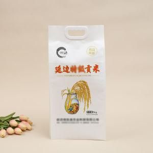 Custom Print Plastic with Handle Side Gusset Vacuum 5kg 10kg Rice Packing Bag