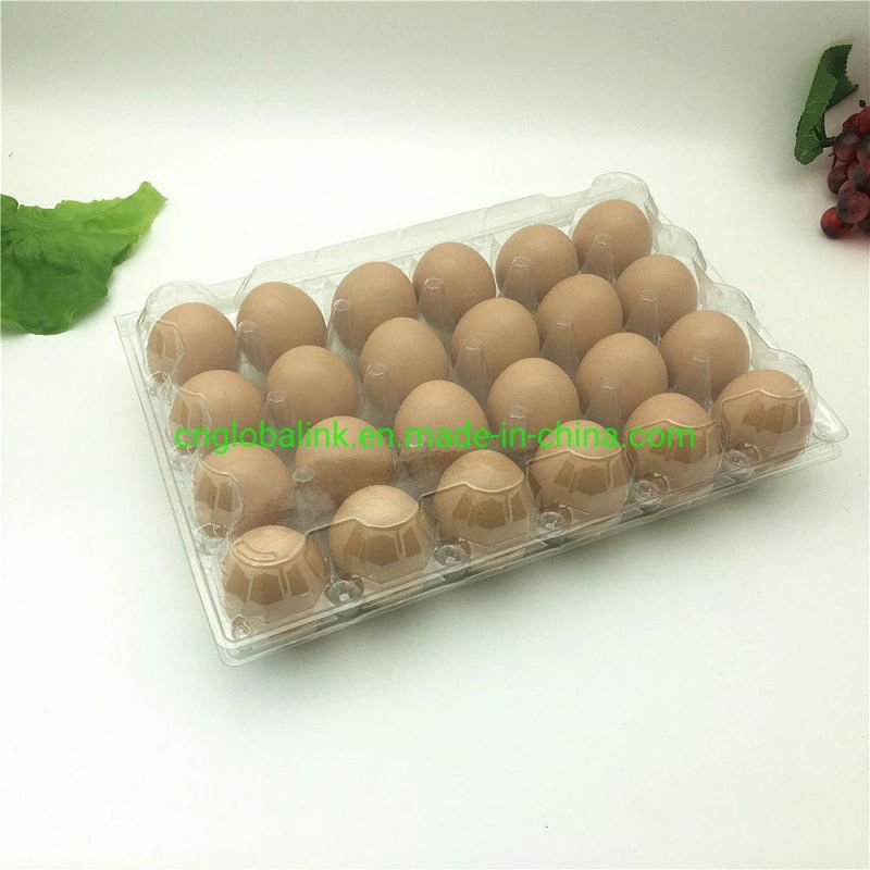 Disposable Plastic Egg Tray 3/7 Holes Egg Packaging