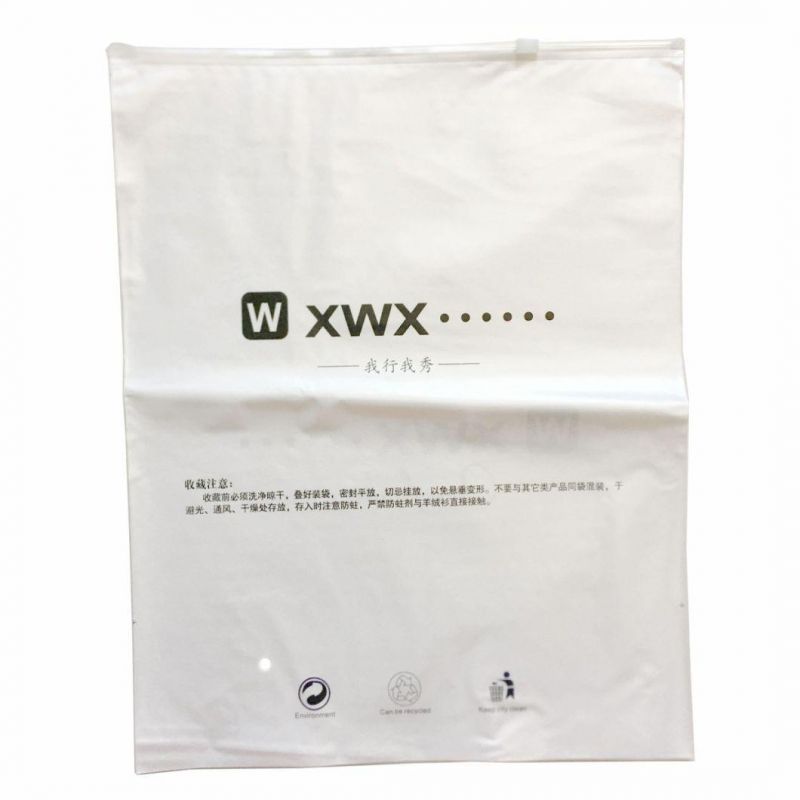 PE Plastic Zipper Bags for Clothing Packaging Bags Poly Bag OEM