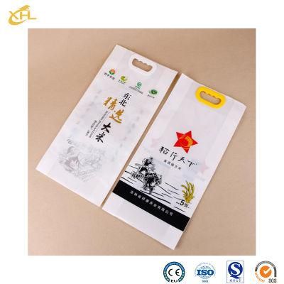Xiaohuli Package China Sweet Packing Supply Customer Design Plastic Zip Lock Bag for Snack Packaging