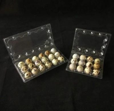 Factory Custom 24 Cells Carton Plastic Quail Egg Tray