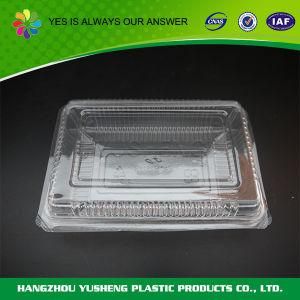 Biodegradable High Quality Disposable Food Container