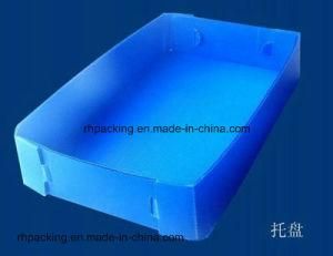 Polypropylene PP Plastic Tray/Correx Coroplast Corflute Sheet with 3mm 4mm 5mm