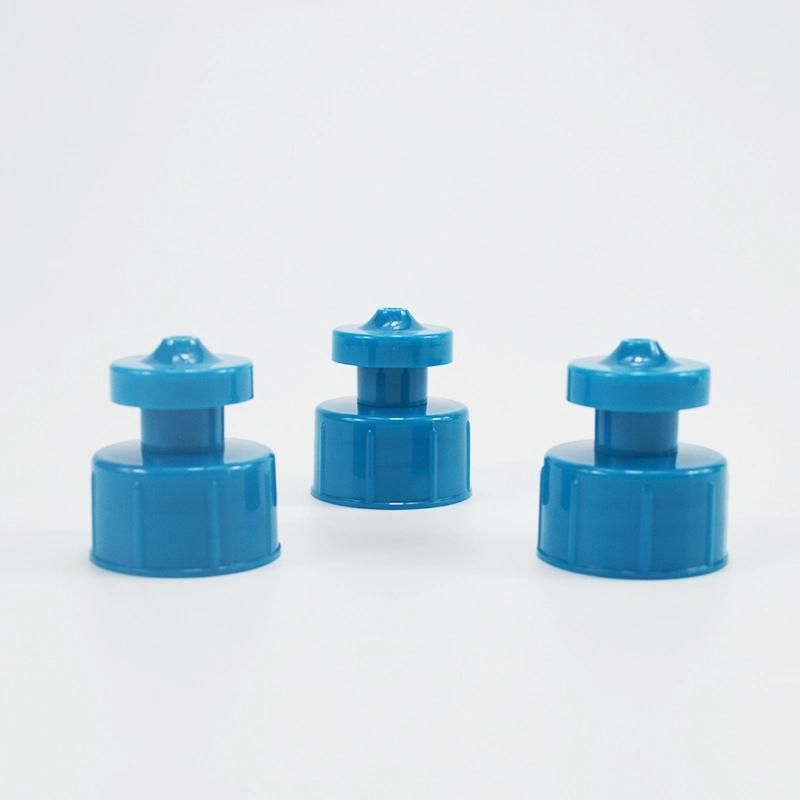 Cleansing Shampoo 24/410 28/410 Screw Cap of Cosmetic Plastic Bottle Push Pull Cap