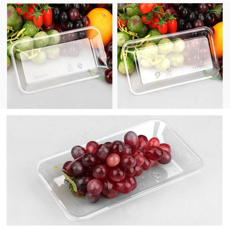 PET rectangular transparency black disposable plastic food trays