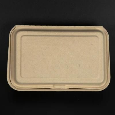 Biodegradable Compostable Disposable Eco Friendly Bagasse Sugarcane Food Container