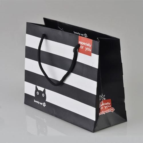 New Design Promotional Paper Packing Bag