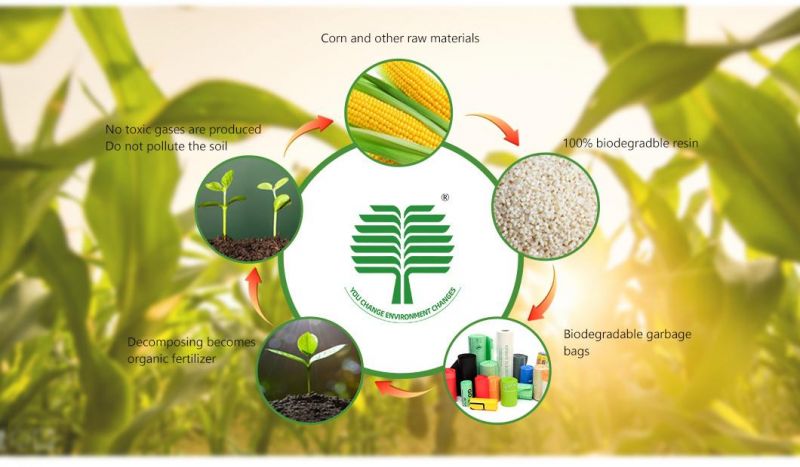 PLA+Pbat/Pbat+Corn Starch Made Biodegradable Bags Compostable Mailing Bags Manufacturer