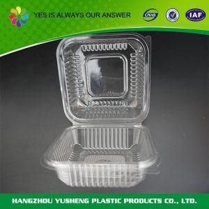 Catering Use Food Packaging Box with Clear Lid