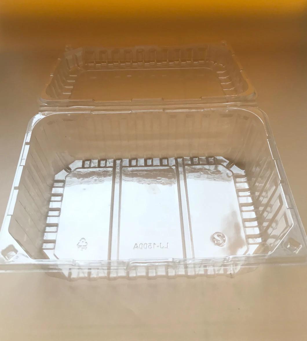 Disposable Plastic Blister Food Packaging Take Away Clamshell Vegetable Packing Container