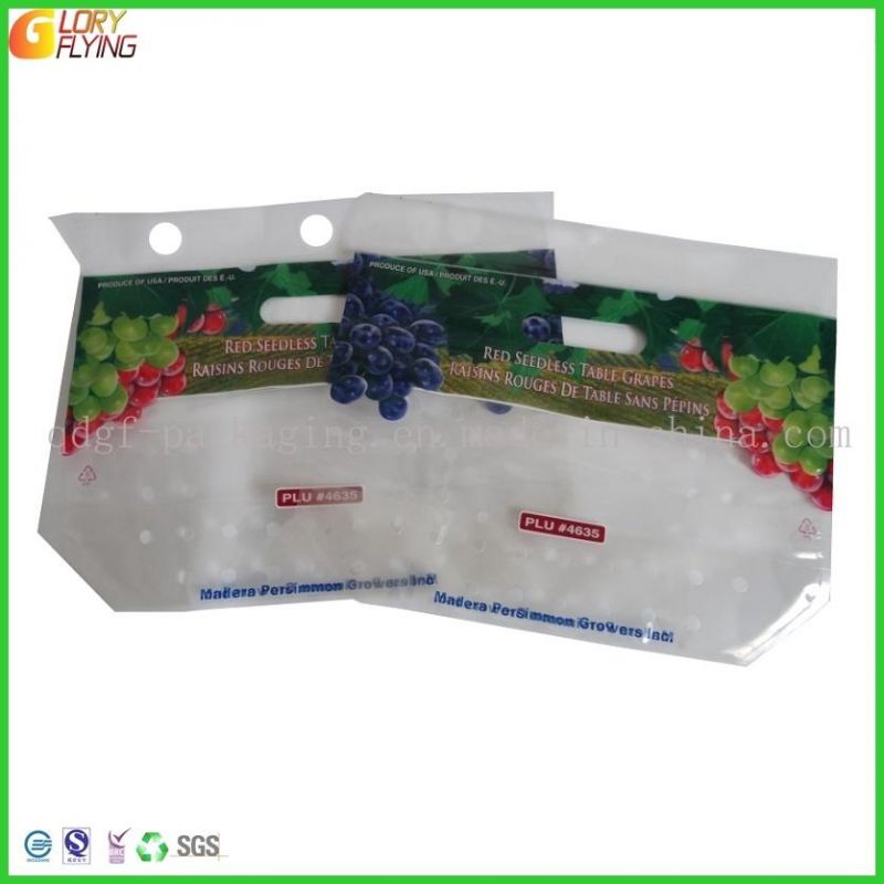 Plastic Grape Zipper Bag with Perforation Freshness Vegetable Packing Bag