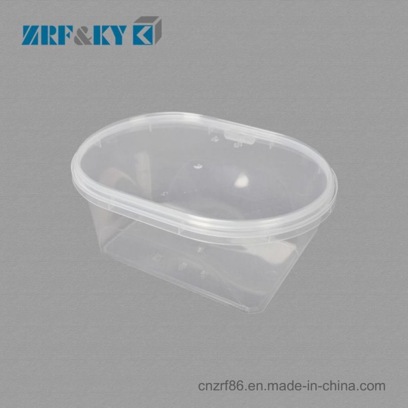 Free Sample Custom Take Away Disposable Transparent PP Plastic Food Containers with Lid Box