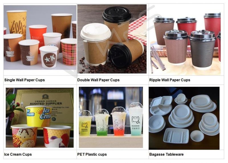 Eco-Friendly Customized Disposable Paper Coffee Cup with Lid