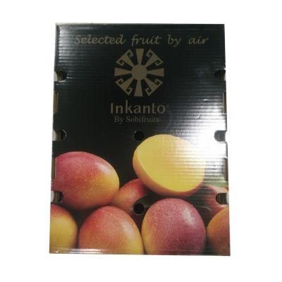 Hot Sale Recyclable Corrugated Packaging Box for Fruit Shipping